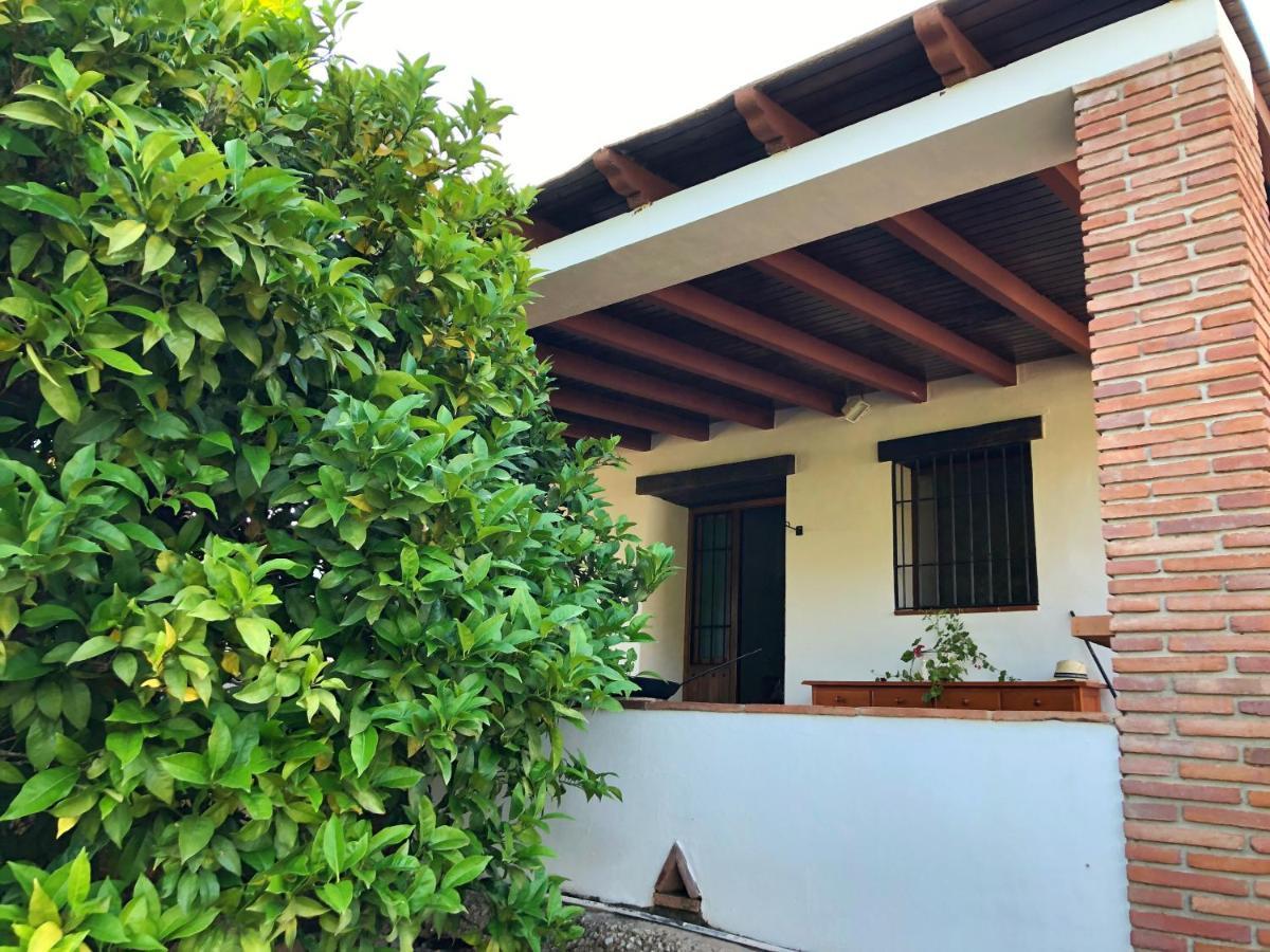 Villa Bonita Nerja Exterior foto